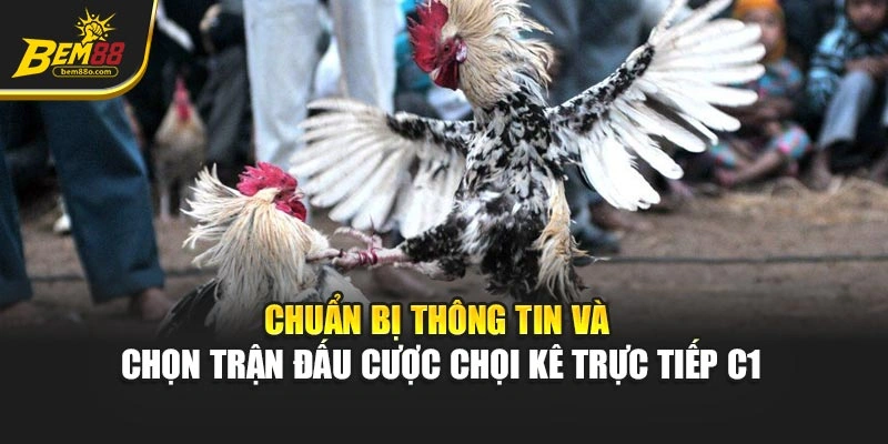 Chuẩn bị thông tin và chọn trận đấu cược chọi kê trực tiếp C1