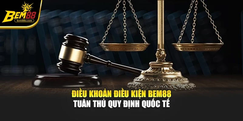 Điều khoản điều kiện Bem88 tuân thủ quy định quốc tế