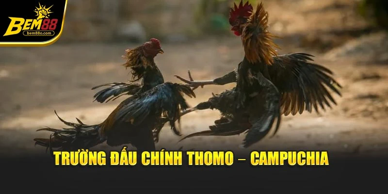 Trường đấu chính Thomo – Campuchia